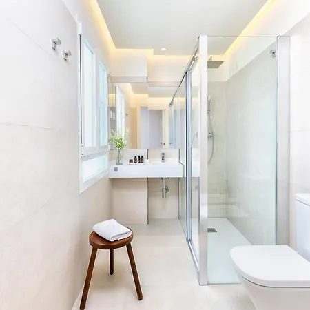 Apartment Iloftmalaga Atico Plaza Del Teatro *